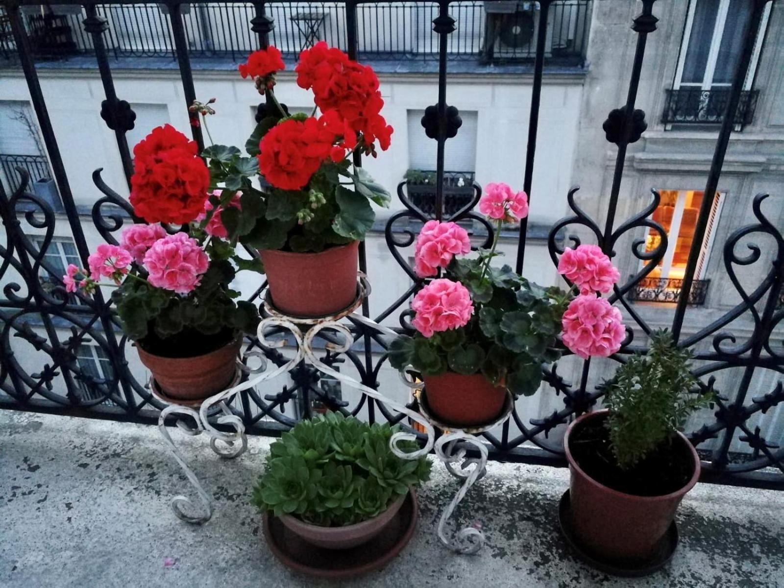 Appartement Sainte Elisabeth - Republique 巴黎 外观 照片